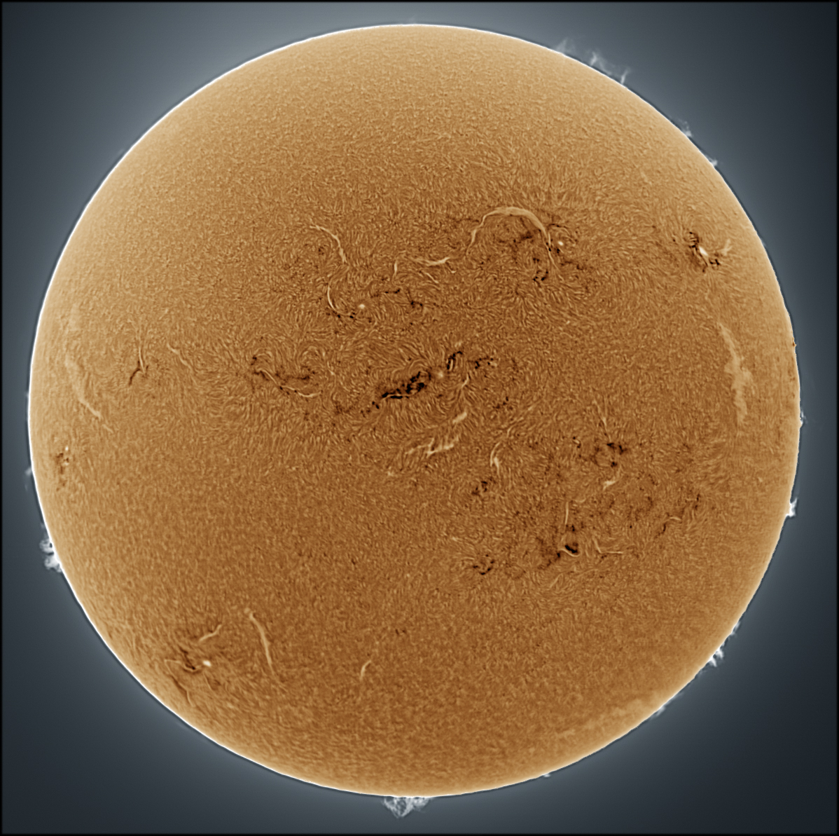  Sun on 08/4/23